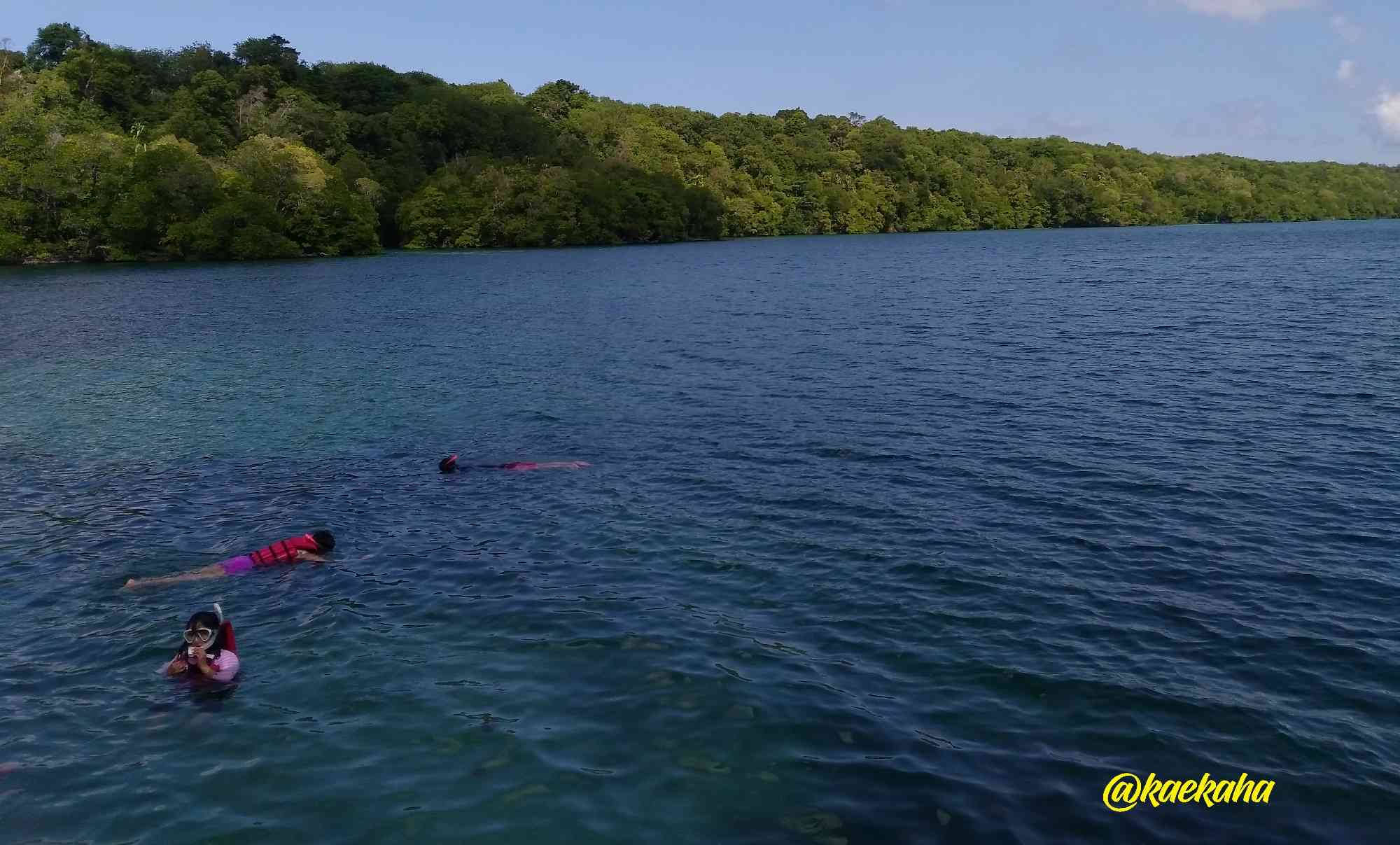 Meluruhkan Ego di Laguna Ubur-ubur Purba Pulau Kakaban