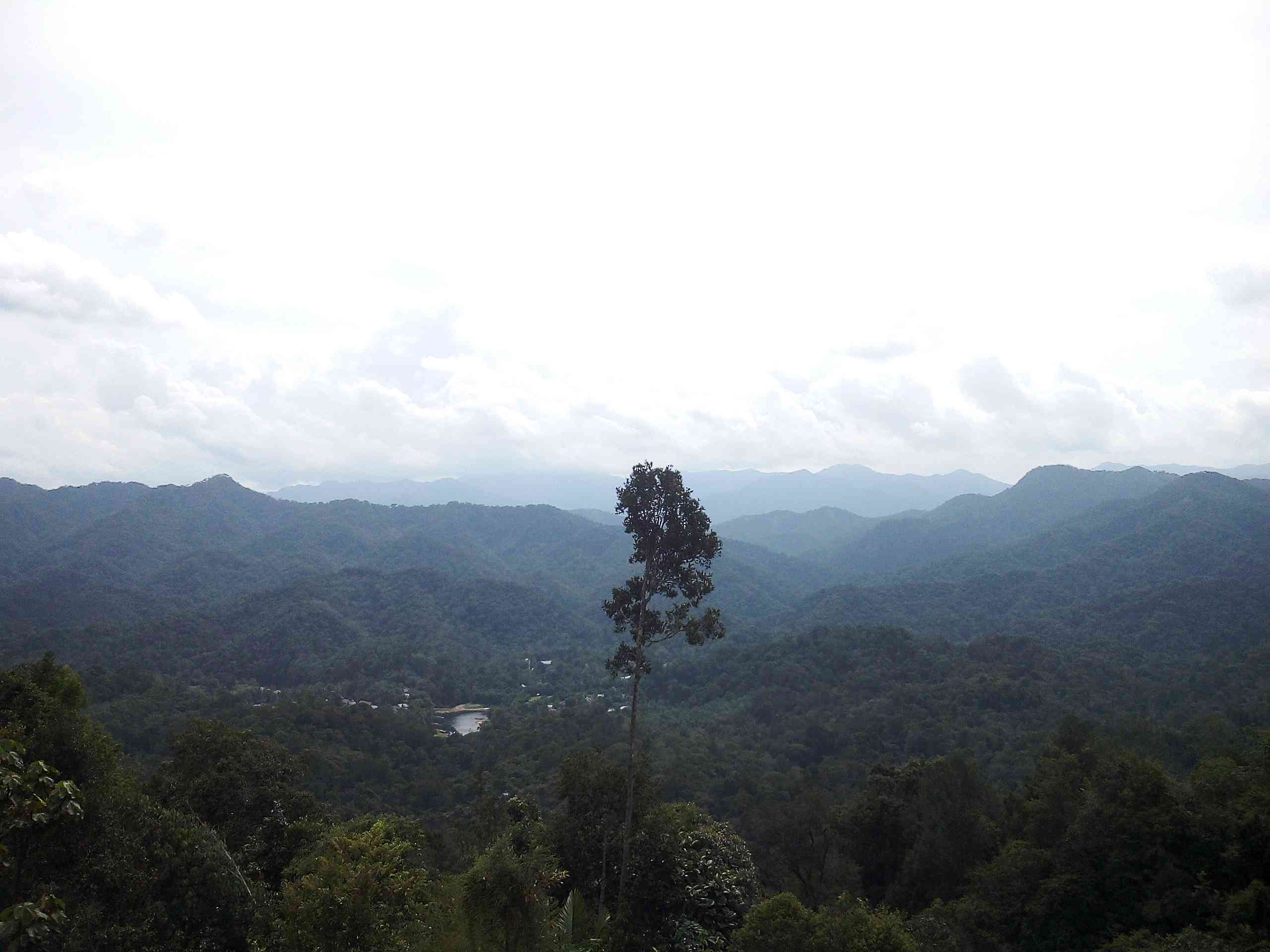 Pesona Rimbang Baling, Dari Kekayaan Alam hingga Budaya