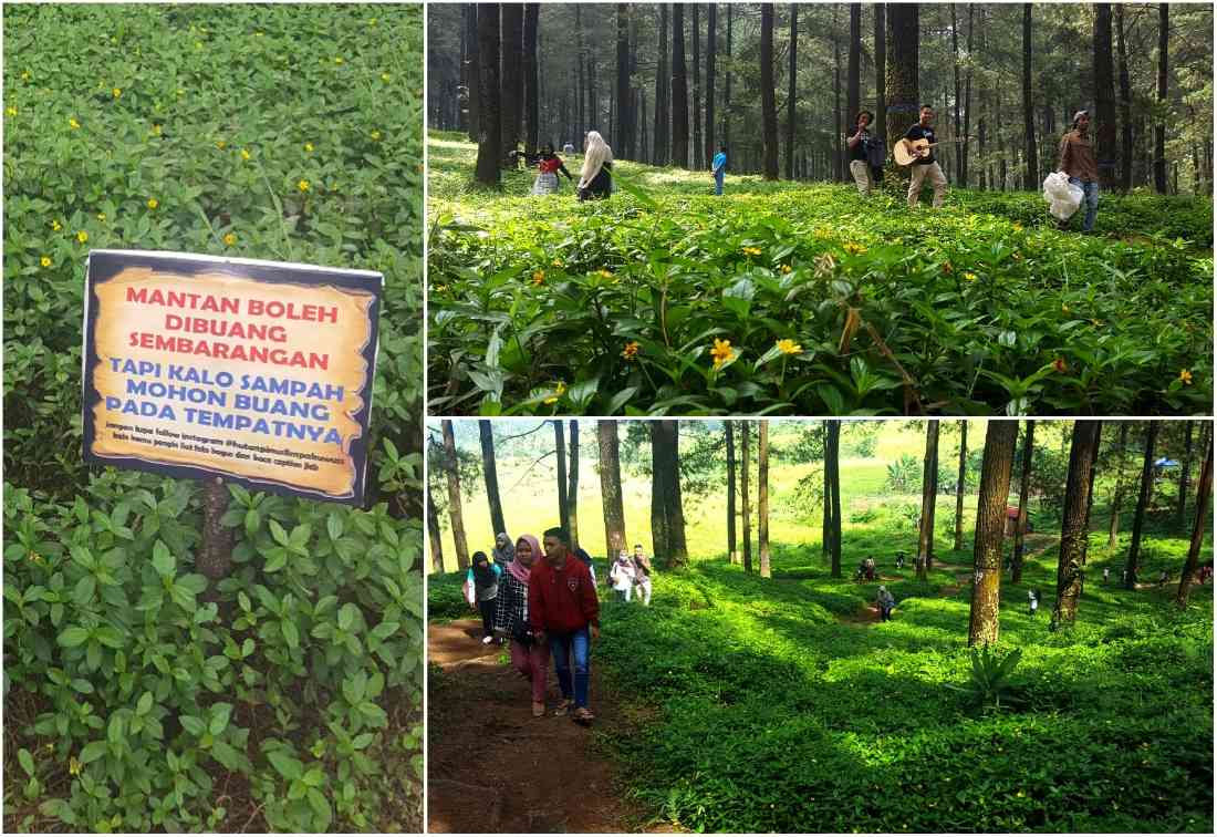 Jangan Jadi Wisatawan yang Egois!