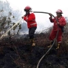 Karhutla Pasca Pandemi, Stop Bencana Kabut Asap Kembali Menyelimuti Riau!