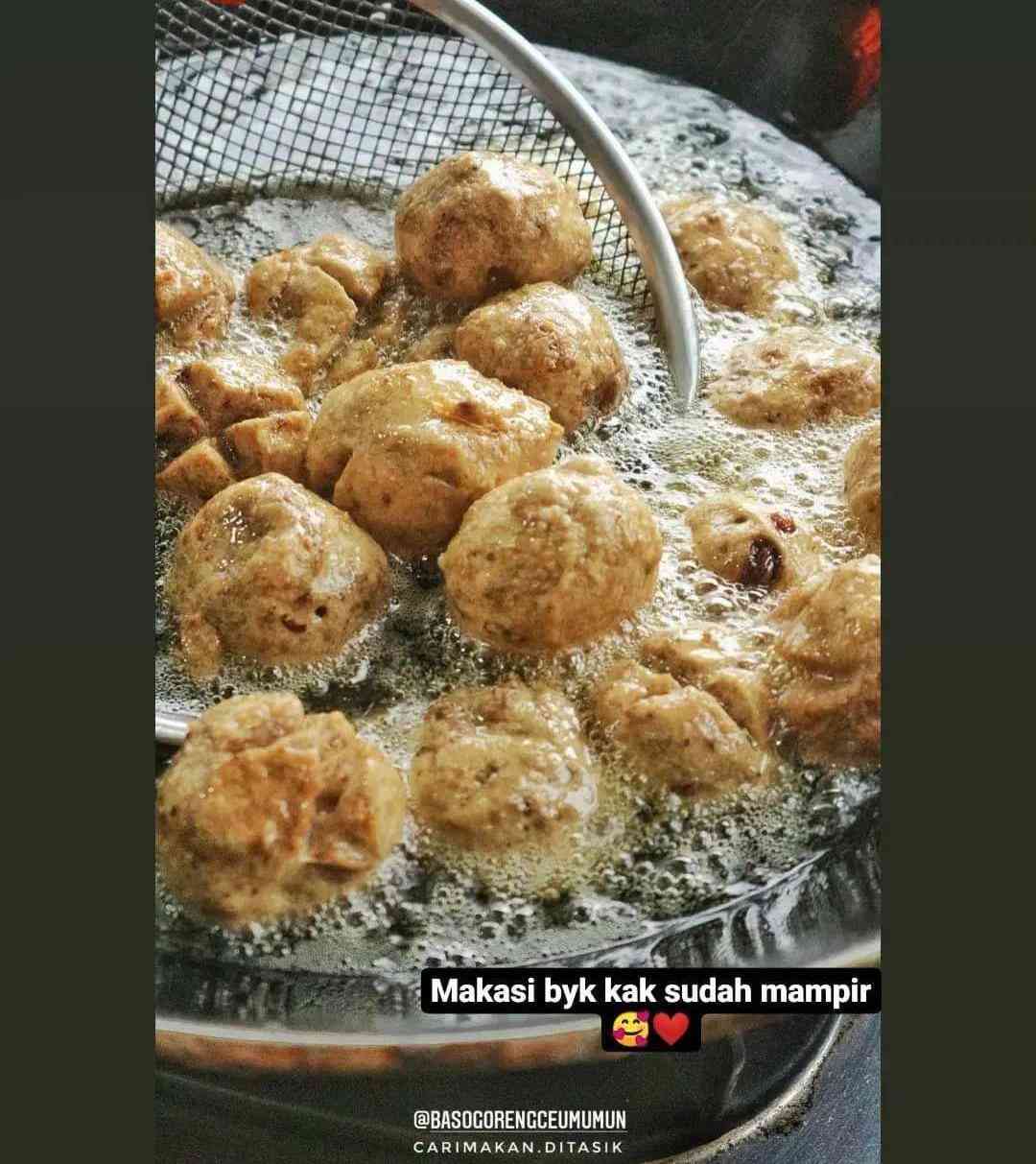 Mencoba Bakso Goreng? Mengapa Tidak!