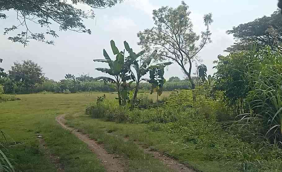 3 Hal yang Dirindukan dari Kampung Halaman