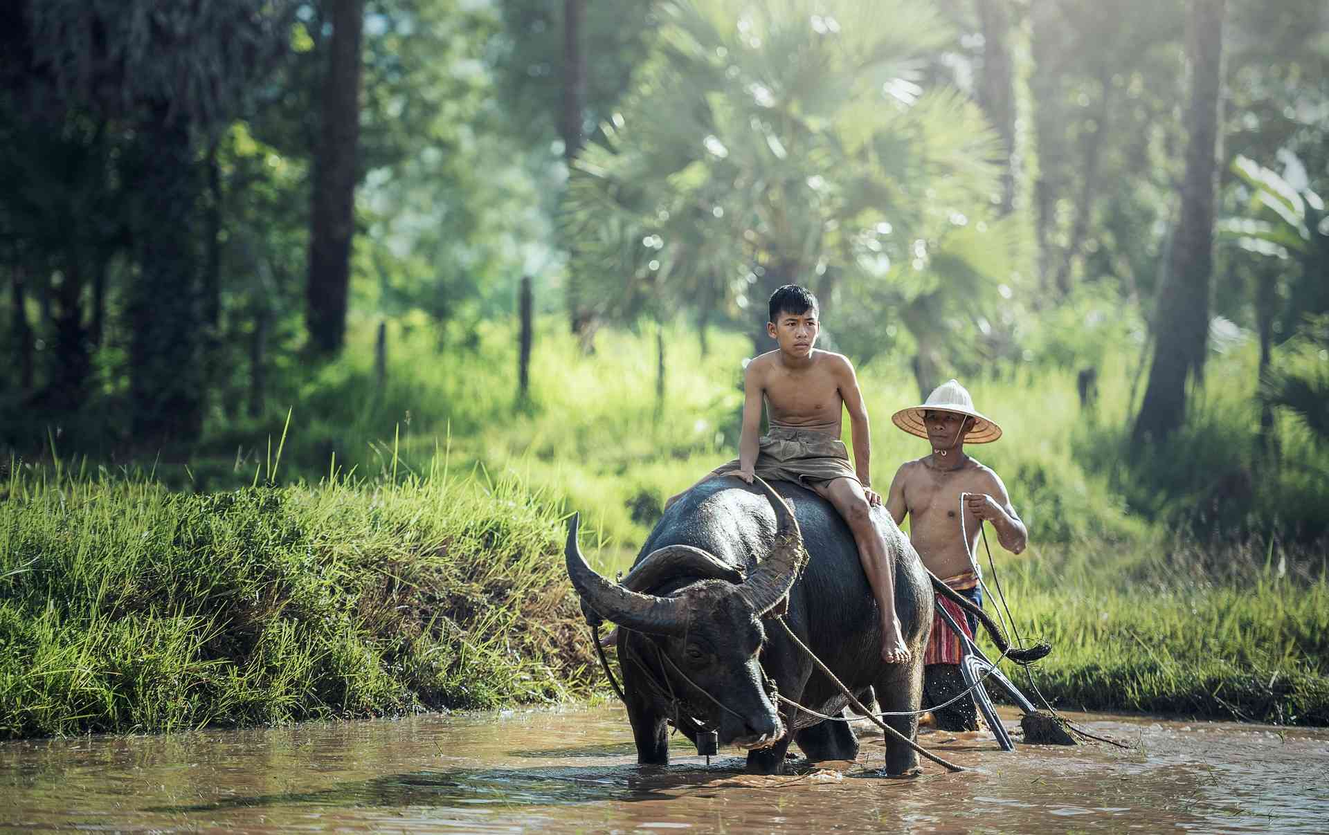 Hal yang Dirindukan di Masa Kecil, Sekarang Hanya Ada di Imajinasi