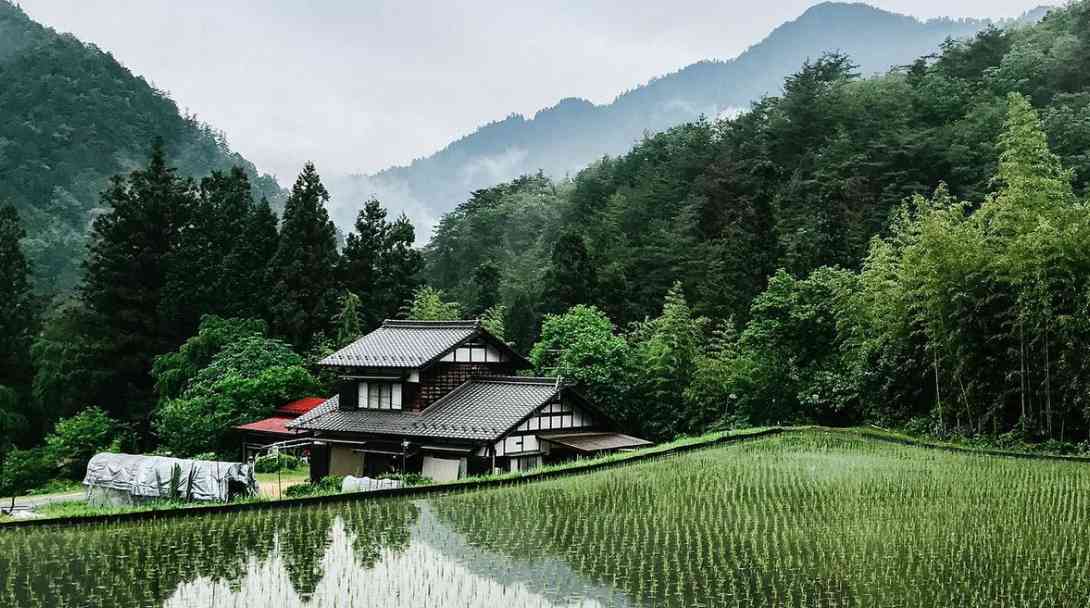 Yang Dirindukan dari Kampung Halaman