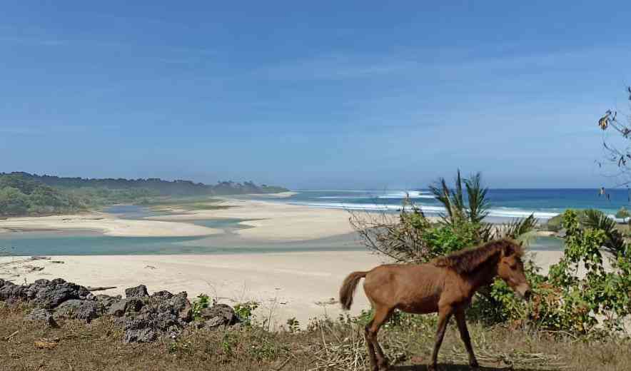 Pantai-pantai di Sumba yang Membuatmu Enggan Beranjak