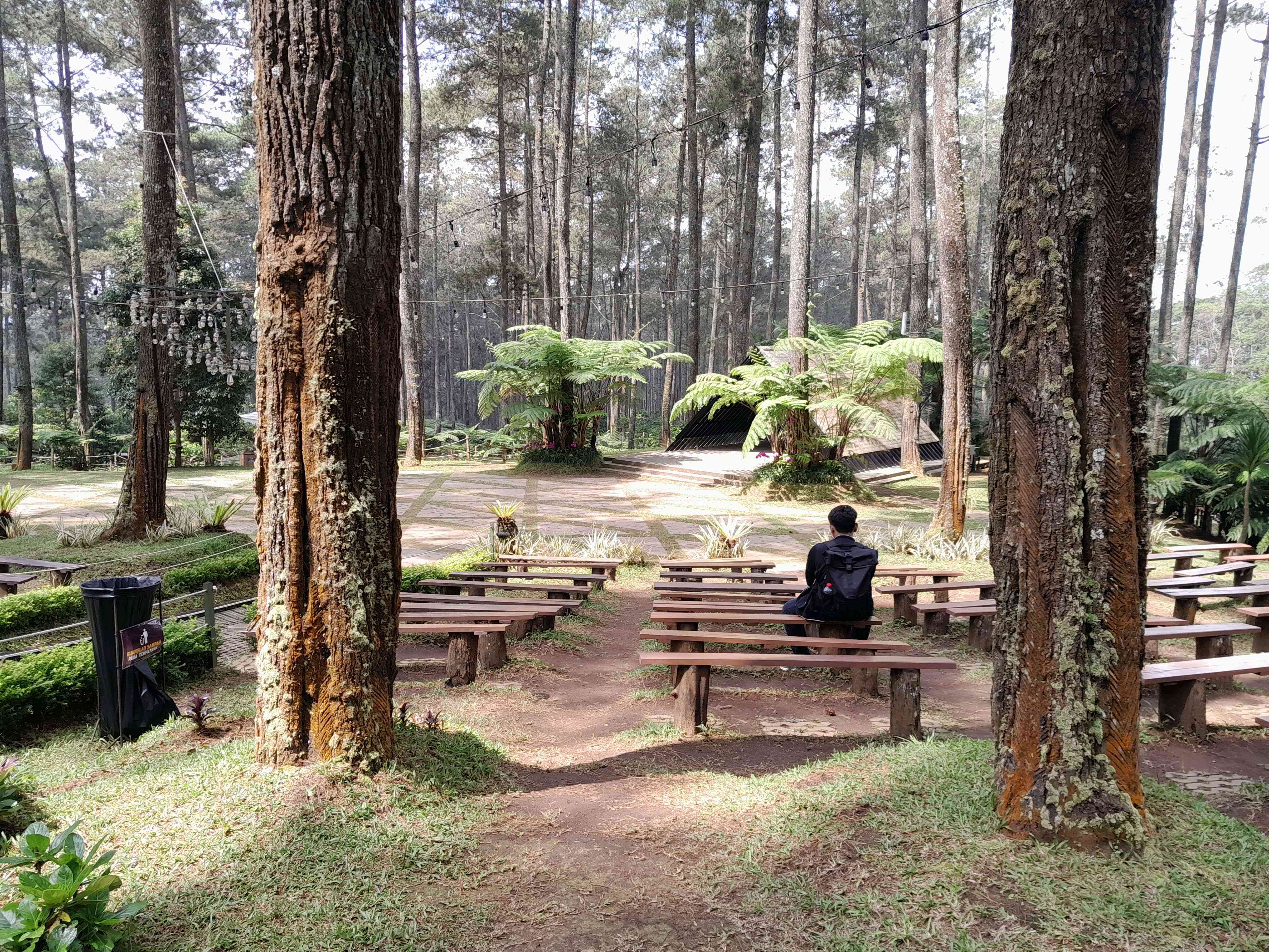 2 Tips agar Chill & Heal di Orchid Forest Cikole & Mercusuar Cikoneng, Bangga Berwisata di Indonesia