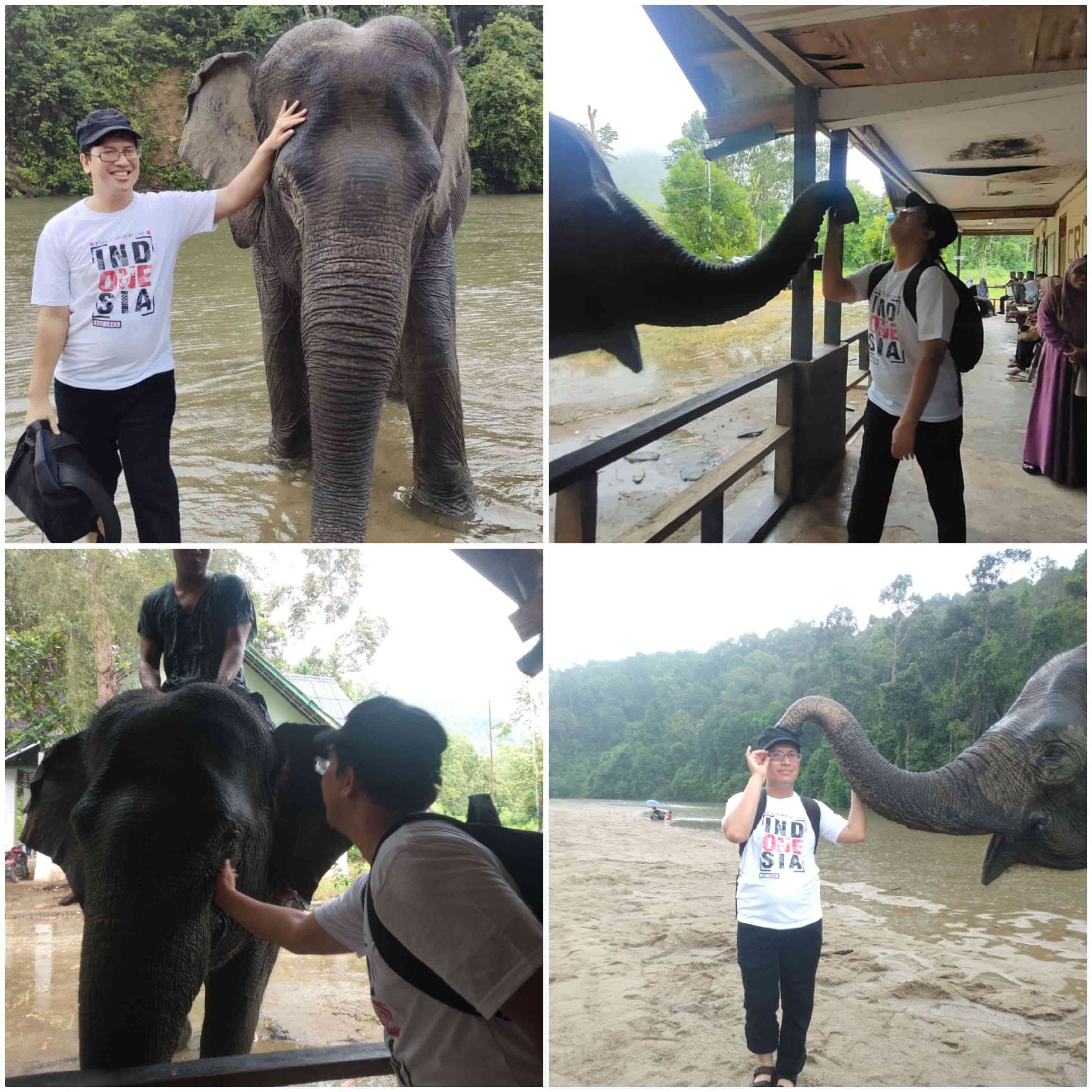 Menikmati Alam sambil Chill & Healing bersama Gajah