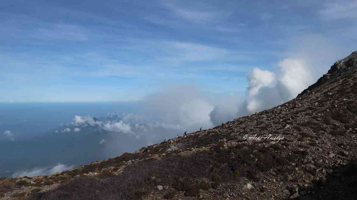 Welirang, Mendaki Gunung Lagi dan Sembuh Depresi