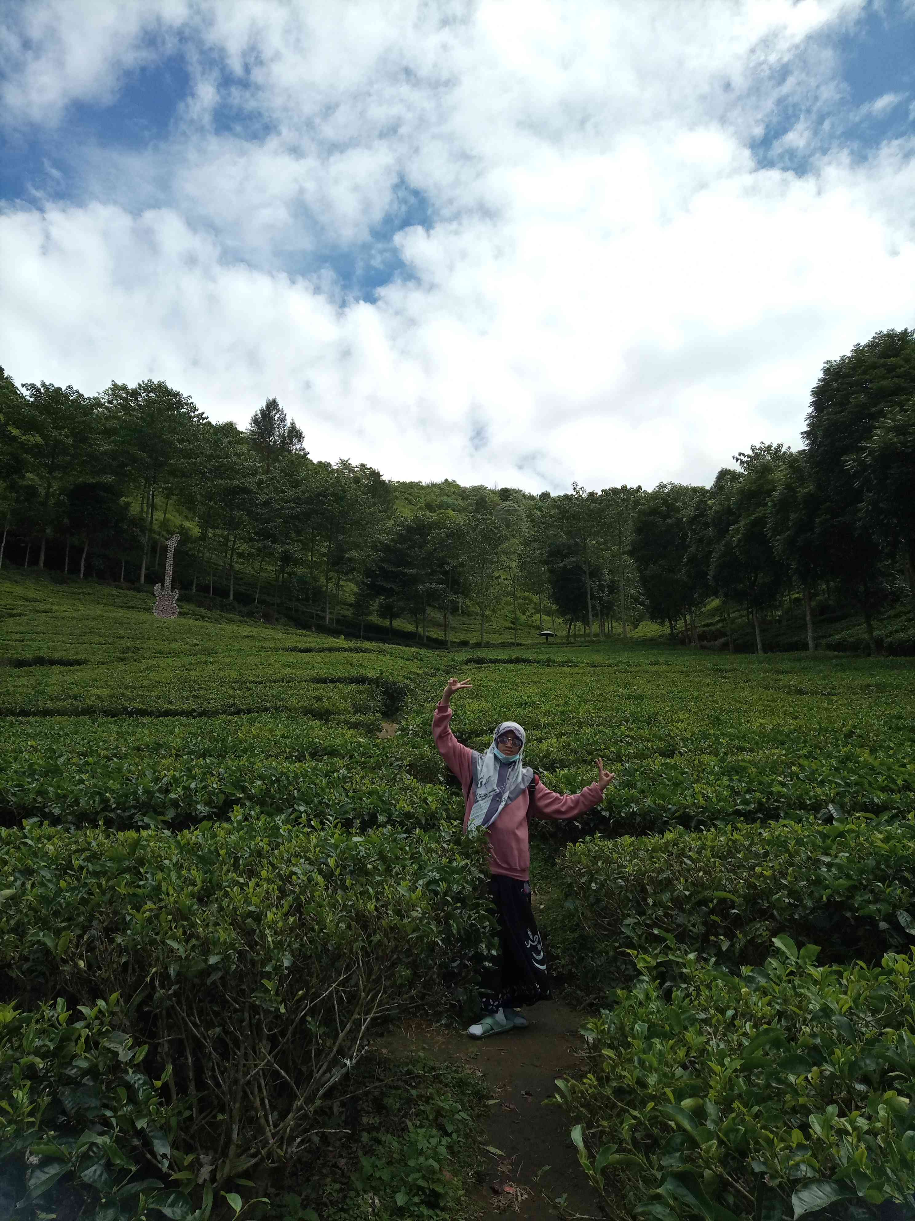 Kebun Teh Sirah Kencong: Melamun Sejenak, Menyembuhkan Hati yang Sesak