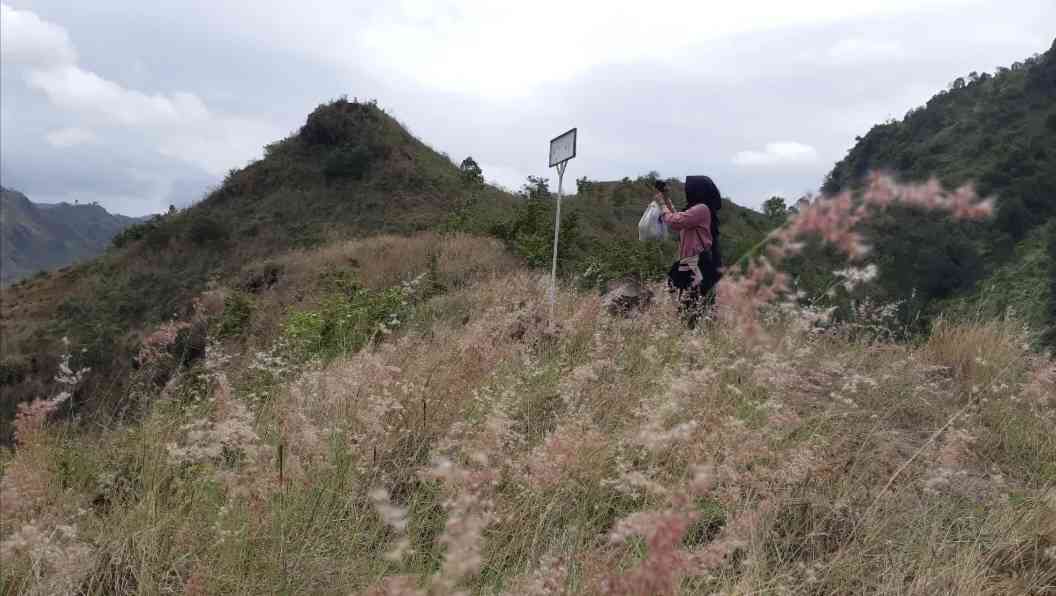 Bukit di Atas Bukit, Dari Bukit Impian Bonus Bukit Pencu