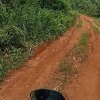 Pengalaman Masuk Jalur Trabas Motor Trail di Hutan Akasia