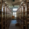 Kualitas Mahasiswa terhadap Jurusan Ilmu Perpustakaan