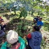Pengembangan Kawasan Hortikultura Pepaya California Menuju Petani Indonesia Sejahtera