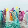 Lembaga Swadaya Masyarakat sebagai Wadah Penyuluhan Larangan Kantong Plastik Sekali Pakai