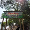 Ekowisata Mangrove Wonorejo, Referensi Wisata Alam di Surabaya
