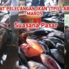 TPI Labuang Maros; Siklus Kerjasama Nelayan, Pedagang, dan Pembeli