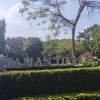 Analisis Tanaman di Taman Tjerme Kota Malang