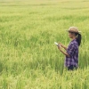 Revitalisasi Sensus Pertanian 2023: Membangun Jaringan Data Inovatif untuk Transformasi Pertanian Indonesia