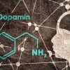 Dopamin: Penyemangat atau Candu? Membahas Mengenai Dopamin