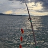 Umpan Terbaik untuk Para Pemancing di Danau Sentani