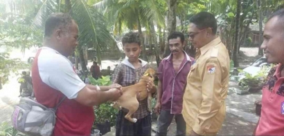 Mengurai Persoalan Rabies di Indonesia