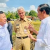 Politik "Cawe-Cawe" Presiden Jokowi, Perlukah?