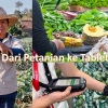 Kisah Sukses Pasar B2B Baru dari Pertanian ke Tablet
