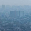 Starter Pack untuk Minimalisir Dampak Buruknya Kualitas Udara Jakarta
