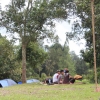 Mandalawangi Camping Ground Surga Tersembunyi di Jawa Barat