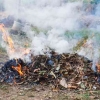 Mempidanakan Pembakar Sampah Karena Bikin Polusi Udara