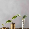 Peluang Investasi SBN Sukuk Ritel SR019: Jangka Waktu dan Keuntungan