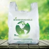 Plastik Biodegradable Sebuah Solusi atau Pemicu Masalah di Masa Depan?