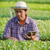 Era Digital Di Negeri Hijau, Teknologi yang Mengubah Wajah Pedesaan