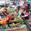 Analisis Ketidakstabilan Harga Komoditi Pertanian di Indonesia: Penyebab dan Solusi