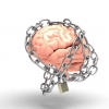 Mengungkap Mitos Kekuatan Otak Manusia: Apakah Benar Kita Hanya Menggunakan 10% Otak Kita?