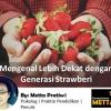 Mengenal Lebih Dekat Generasi Strawberry