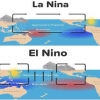 El Nino Dampak Positif dan Negatifnya bagi Indonesia