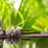 Zen: Ajaran Buddha yang Menekankan Meditasi