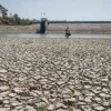 El Nino Panggang Indonesia Lebih Lama