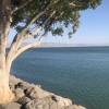 Danau Galilea