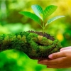 Pendidikan Karakter dan Kelestarian Alam: Tinjauan Konsep dan Implementasi