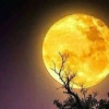 Bulan Tanpa Cahaya