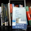 Perpusda, Novel-novel Andrea Hirata, dan Pulau Rempang