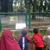 Ragunan, Wisata Jakarta Paling Menarik