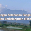 Tantangan Ketahanan Pangan dan Pertanian Berkelanjutan di Indonesia