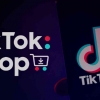 TikTokShop, Era Baru E-Commerce atau Ancaman UMKM