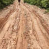 Cara Merawat Jalan ala Planters di Perkebunan Kelapa Sawit