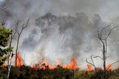 Musim Kemarau Masih Panjang Tingkatkan Pencegahan Kebakaran Hutan dan Lahan