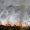 Musim Kemarau Masih Panjang Tingkatkan Pencegahan Kebakaran Hutan dan Lahan