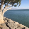 Dari Tiberias, Danau Galilea yang Menghidupi Kota